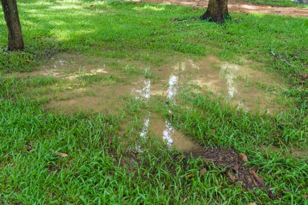 Storm Water Drainage Service in Muskegon