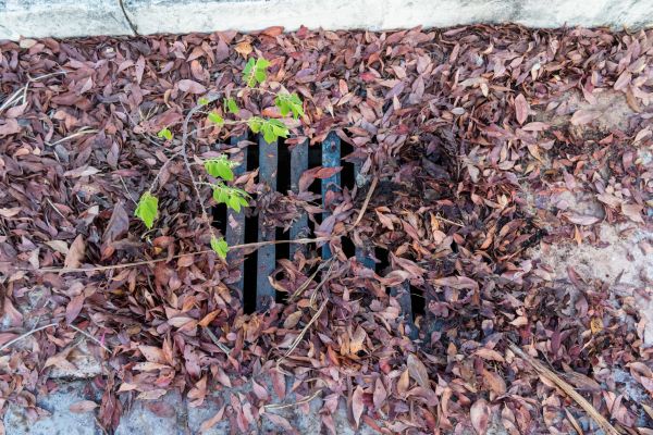 Yard Drain Unclogging in Muskegon