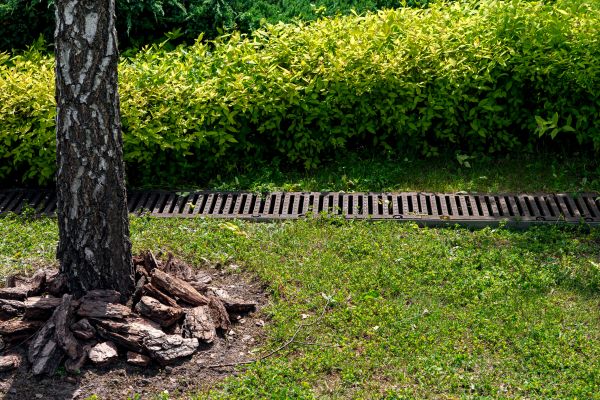 Cost of Yard Water Redirection in Muskegon