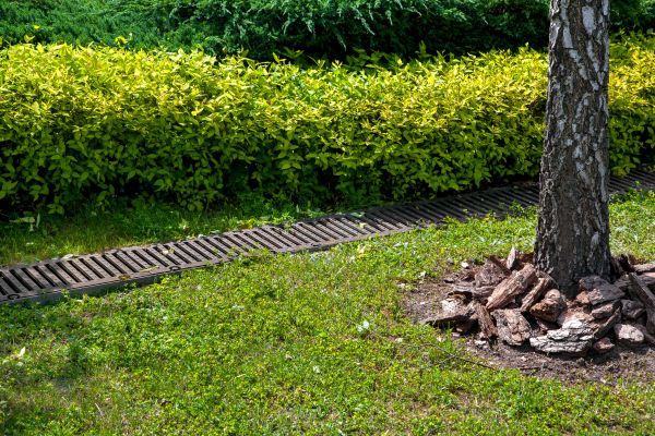 Residential Landscape Drainage in Muskegon
