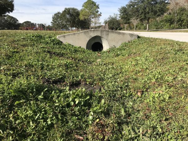 Cost of Swale Drainage Service in Muskegon